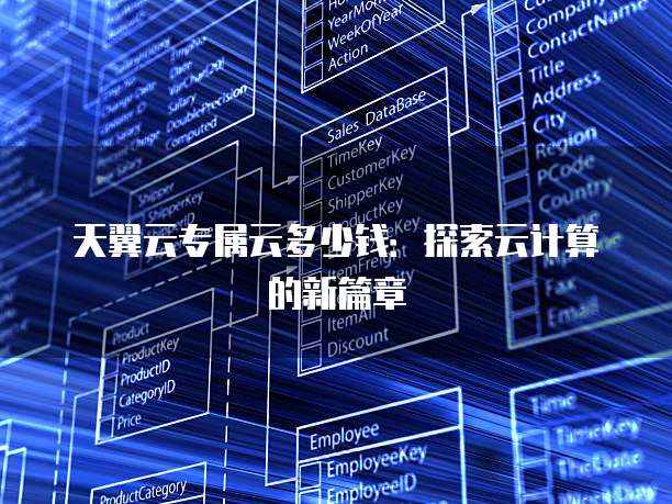 天翼云专属云多少钱:探索云计算的新篇章