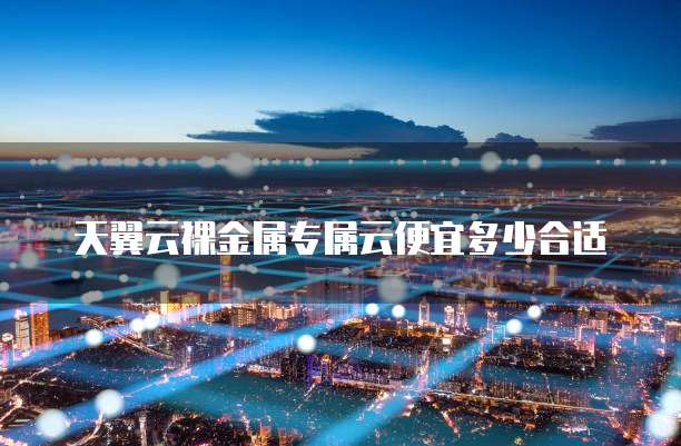 天翼云裸金属专属云便宜多少合适