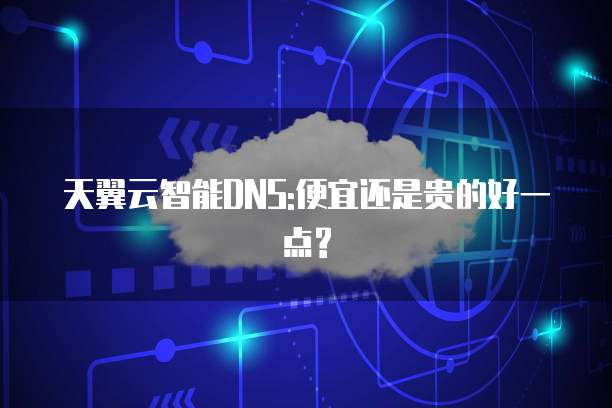 天翼云智能DNS:便宜还是贵的好一点?