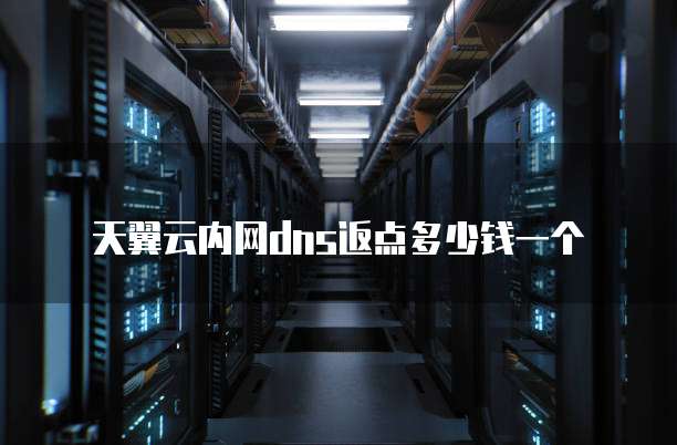 天翼云内网dns返点多少钱一个