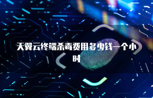 天翼云终端杀毒费用多少钱一个小时