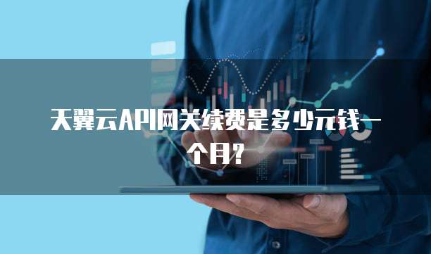 天翼云API网关续费是多少元钱一个月?