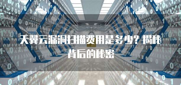 天翼云漏洞扫描费用是多少？揭秘背后的秘密
