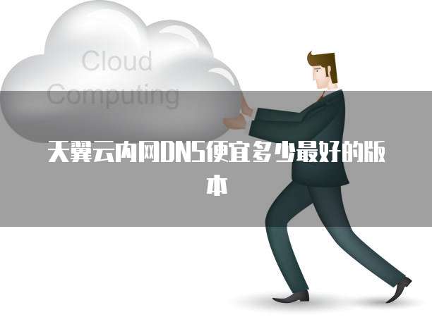 天翼云内网DNS便宜多少最好的版本
