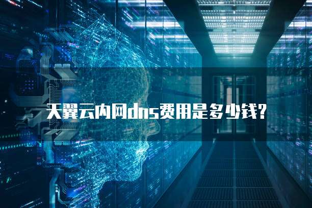 天翼云内网dns费用是多少钱？
