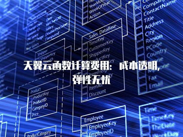 天翼云函数计算费用:成本透明,弹性无忧