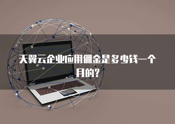 天翼云企业应用佣金是多少钱一个月的？