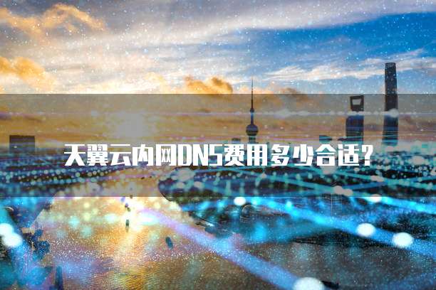 天翼云内网DNS费用多少合适?