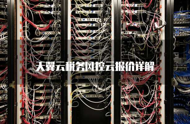 天翼云税务风控云报价详解