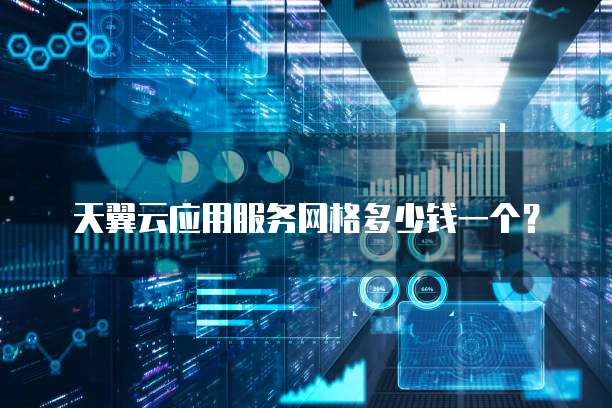 天翼云应用服务网格多少钱一个?