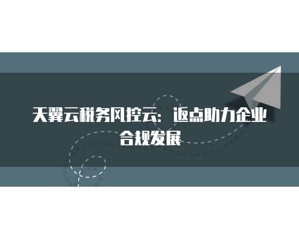 天翼云税务风控云:返点助力企业合规发展