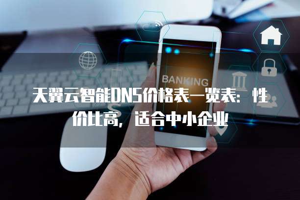 天翼云智能DNS价格表一览表:性价比高,适合中小企业