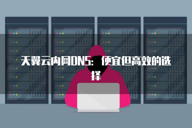 天翼云内网DNS:便宜但高效的选择