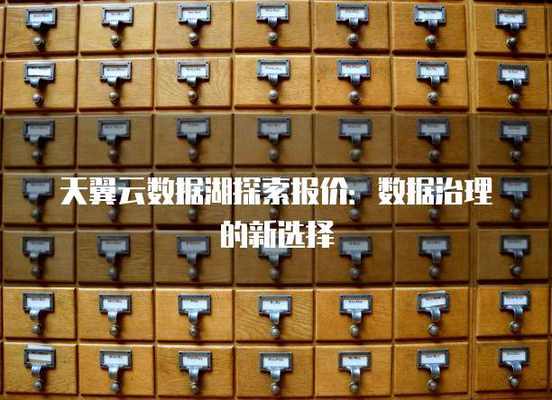 天翼云数据湖探索报价：数据治理的新选择