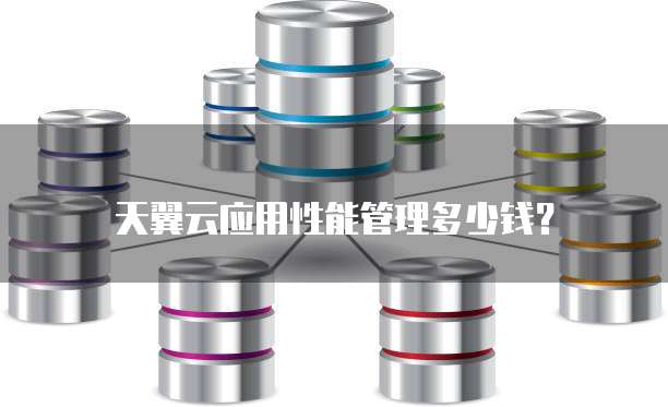 天翼云应用性能管理多少钱?