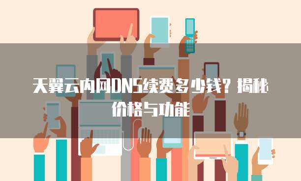 天翼云内网DNS续费多少钱?揭秘价格与功能