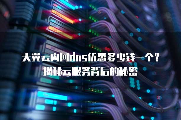 天翼云内网dns优惠多少钱一个?揭秘云服务背后的秘密