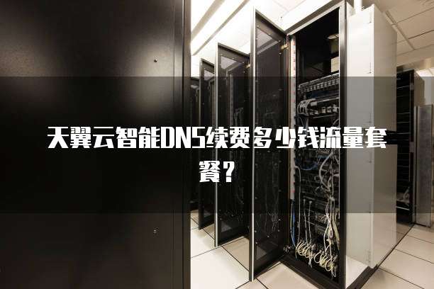 天翼云智能DNS续费多少钱流量套餐?