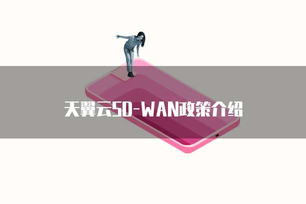天翼云SD-WAN政策介绍