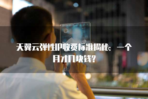 天翼云弹性IP收费标准揭秘:一个月才几块钱?