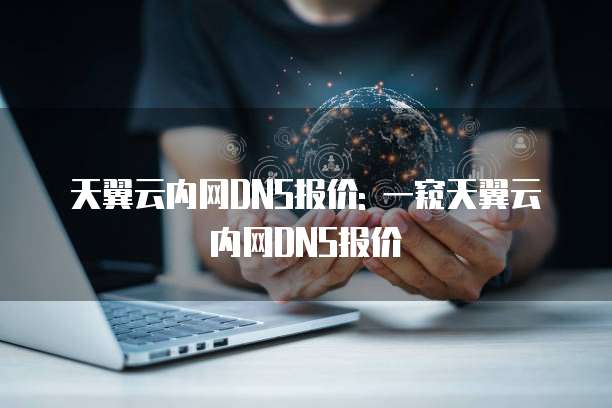 天翼云内网DNS报价: 一窥天翼云内网DNS报价