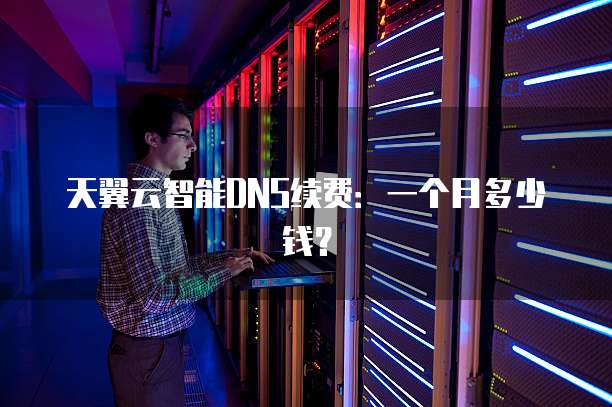 天翼云智能DNS续费:一个月多少钱?