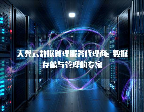 天翼云数据管理服务代理商: 数据存储与管理的专家