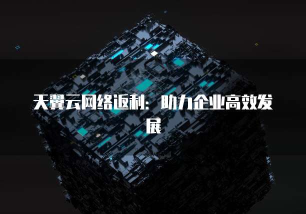 天翼云网络返利：助力企业高效发展