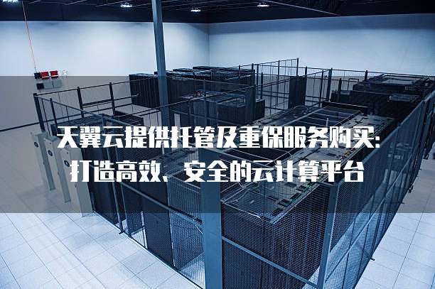 天翼云提供托管及重保服务购买:打造高效、安全的云计算平台