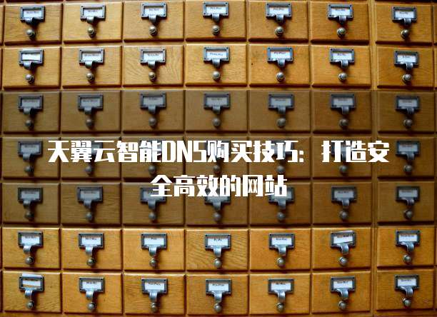 天翼云智能DNS购买技巧:打造安全高效的网站