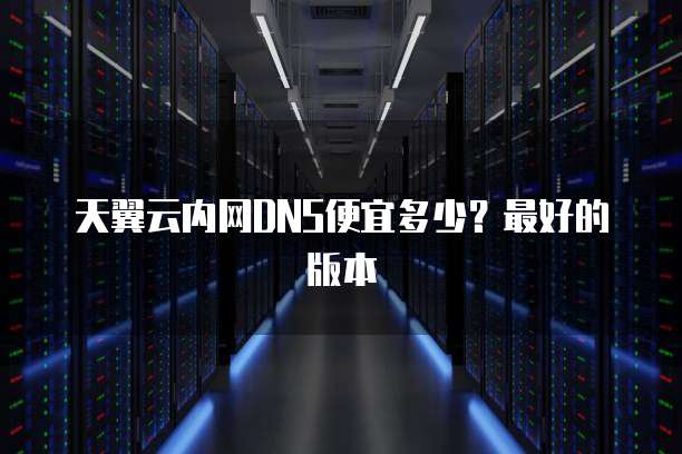 天翼云内网DNS便宜多少？最好的版本