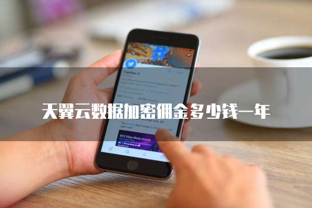 天翼云数据加密佣金多少钱一年