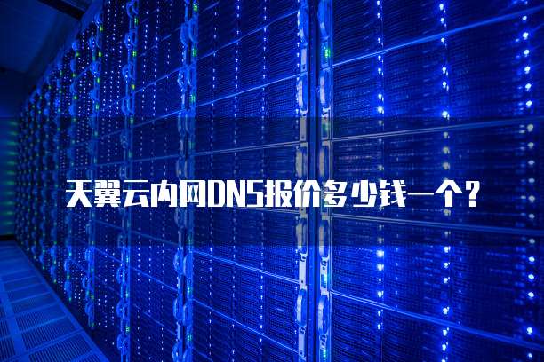 天翼云内网DNS报价多少钱一个？