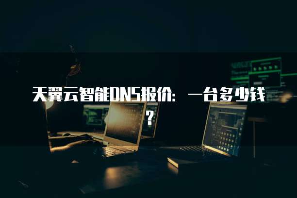 天翼云智能DNS报价:一台多少钱?