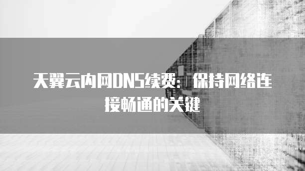 天翼云内网DNS续费:保持网络连接畅通的关键