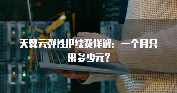 天翼云弹性IP续费详解：一个月只需多少元？