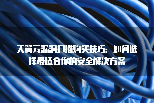 天翼云漏洞扫描购买技巧:如何选择最适合你的安全解决方案