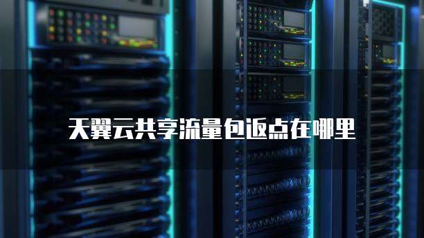 天翼云共享流量包返点在哪里