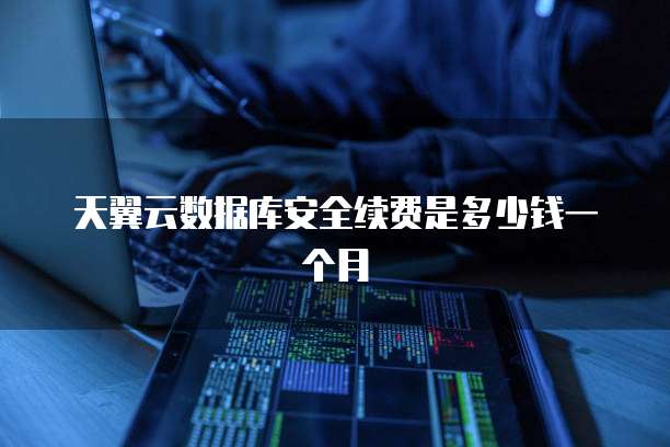 天翼云数据库安全续费是多少钱一个月