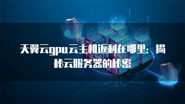 天翼云gpu云主机返利在哪里:揭秘云服务器的秘密