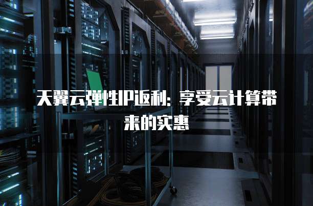 天翼云弹性IP返利: 享受云计算带来的实惠