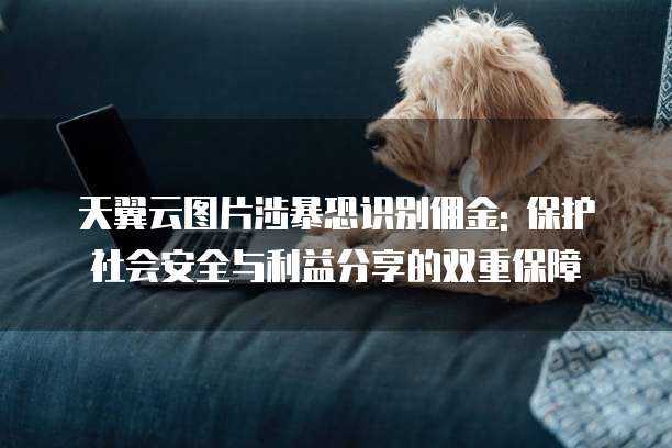 天翼云图片涉暴恐识别佣金: 保护社会安全与利益分享的双重保障