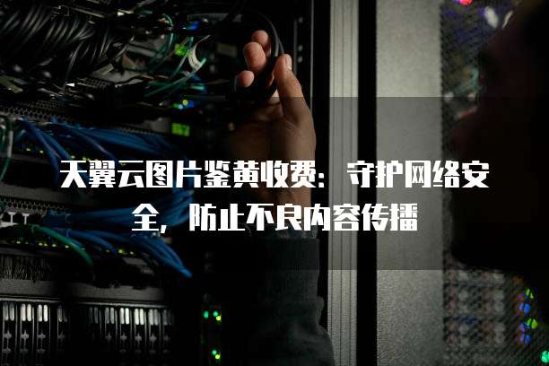 天翼云图片鉴黄收费：守护网络安全，防止不良内容传播