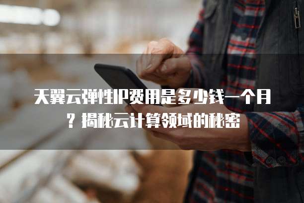 天翼云弹性IP费用是多少钱一个月?揭秘云计算领域的秘密