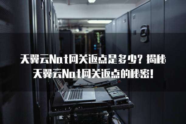 天翼云Nat网关返点是多少?揭秘天翼云Nat网关返点的秘密!