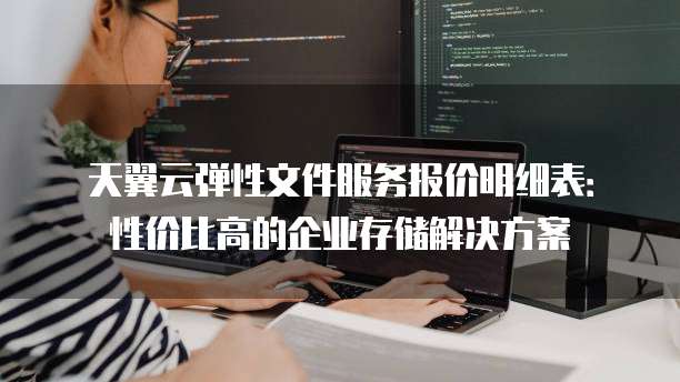 天翼云弹性文件服务报价明细表:性价比高的企业存储解决方案