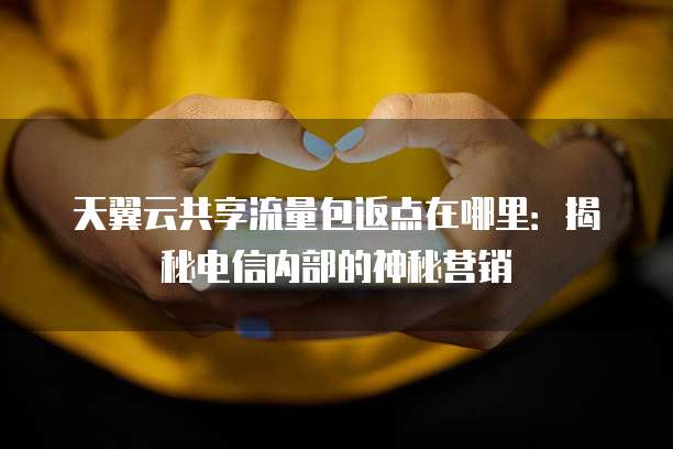 天翼云共享流量包返点在哪里:揭秘电信内部的神秘营销