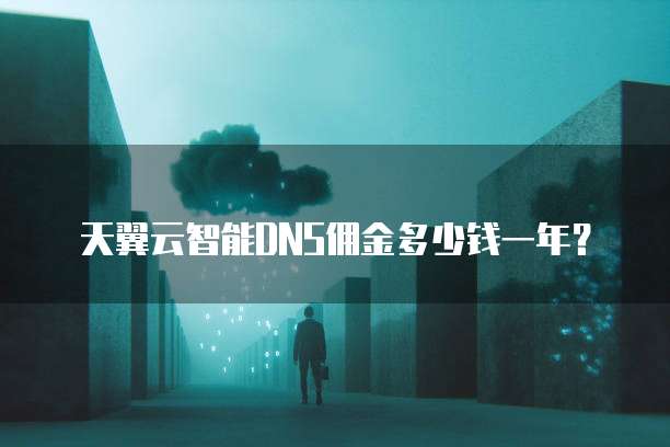 天翼云智能DNS佣金多少钱一年?