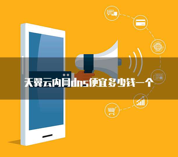天翼云内网dns便宜多少钱一个