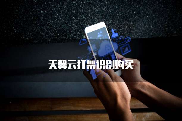 天翼云打架识别购买